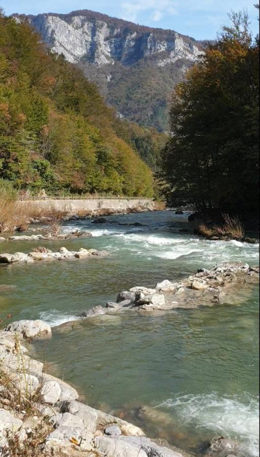 Resort Stari Malni, Osilnica - Vacation Houses Stari Malni エクステリア 写真